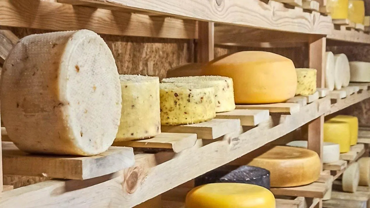 Что жарить на майских, если не хочется мяса: подборка идей от шеф‑повара