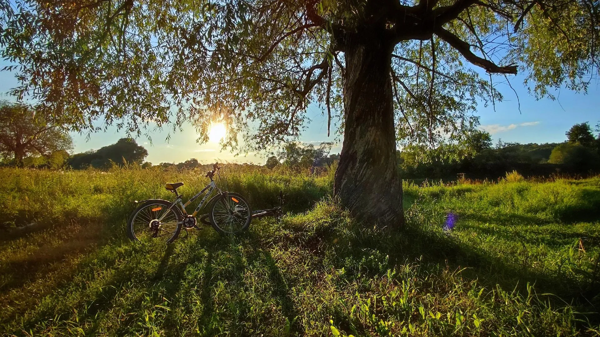 Фото: Ангелина Максимова