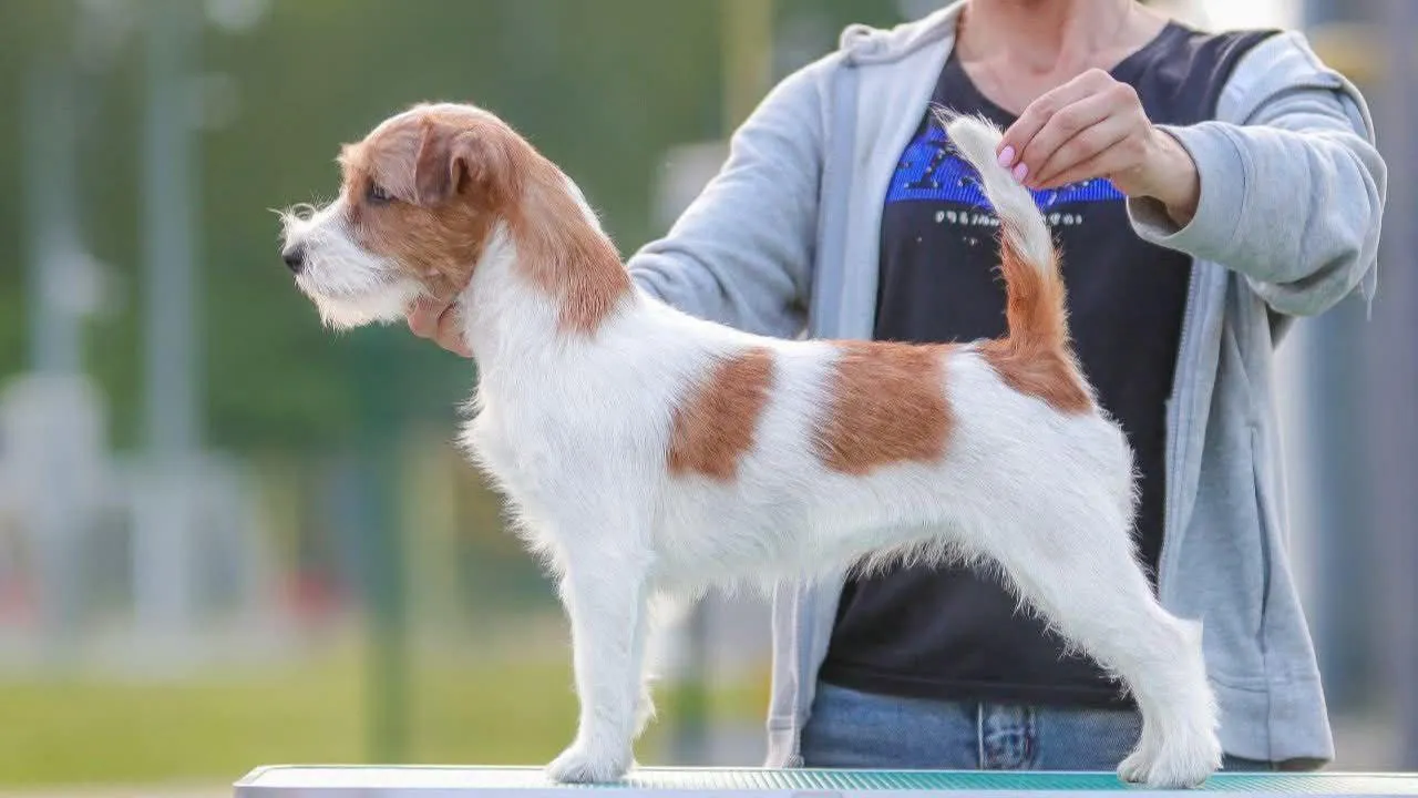 личный архив Юлии Беловой