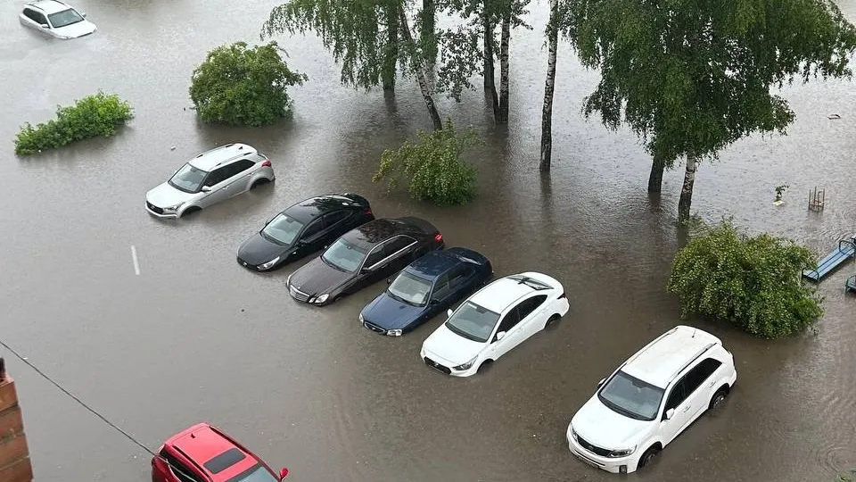 Фото: t.me/dolgopacity