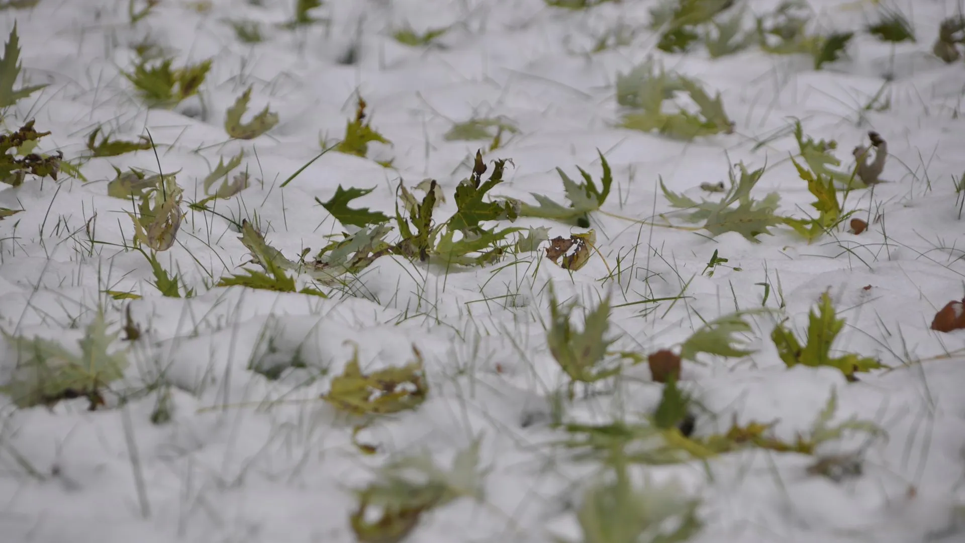 Фото: Ангелина Максимова