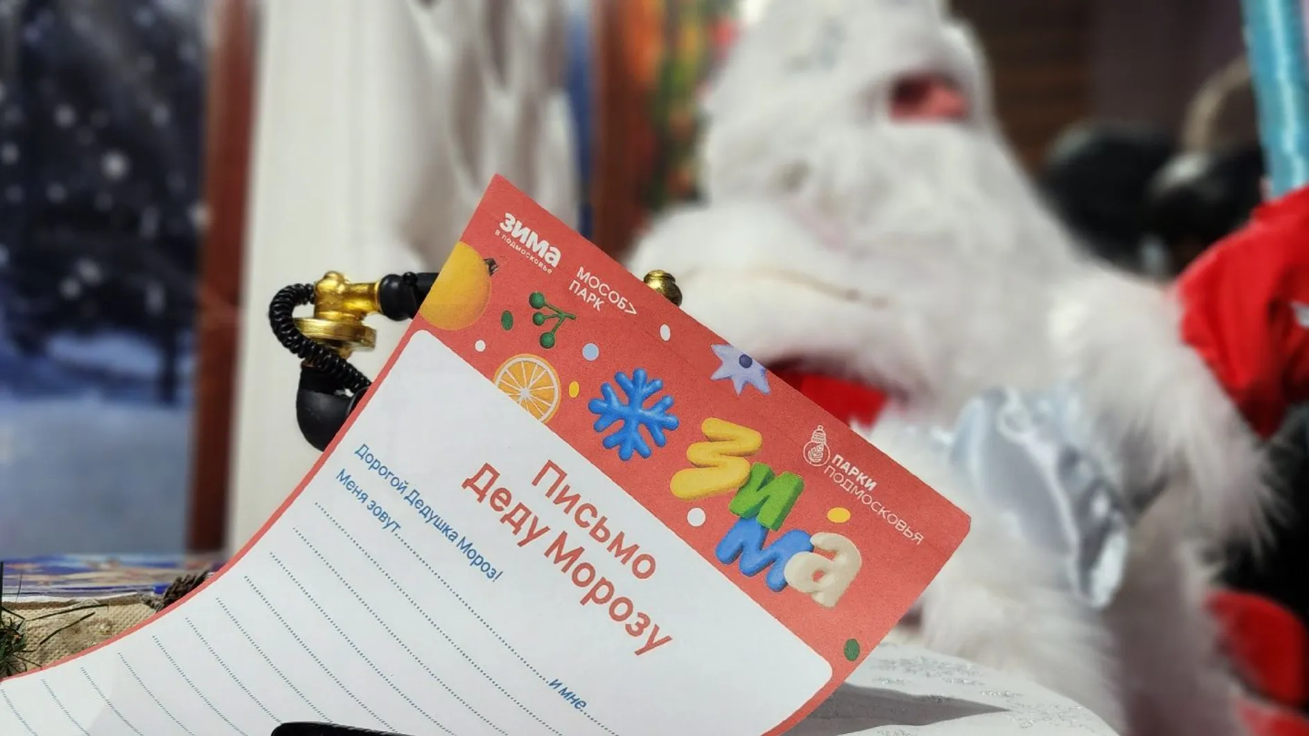 Фото: МедиаБанк Подмосковья/Екатерина Данилина