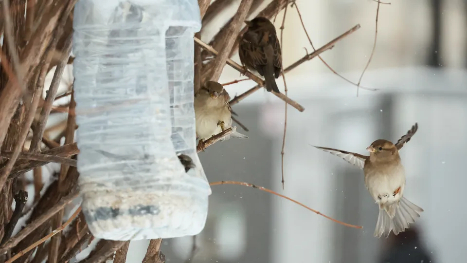 Фото: ТАСС/Сергей Фадеичев