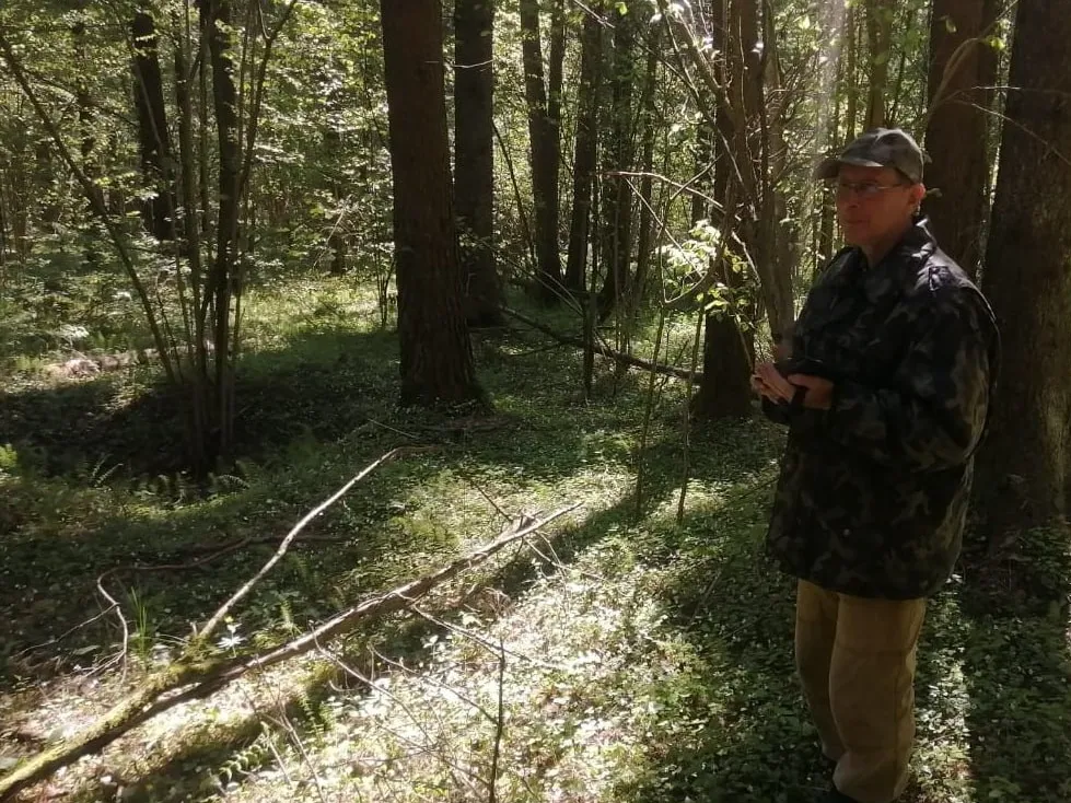 Фото: ГКУ МО «Мособллес»&nbsp;