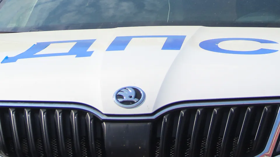 Фото: REGIONS/Василий Тремасов