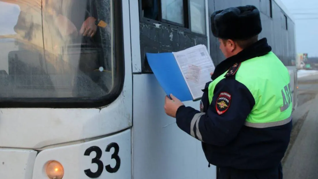 Источник: Госавтоинспекция по Московской области