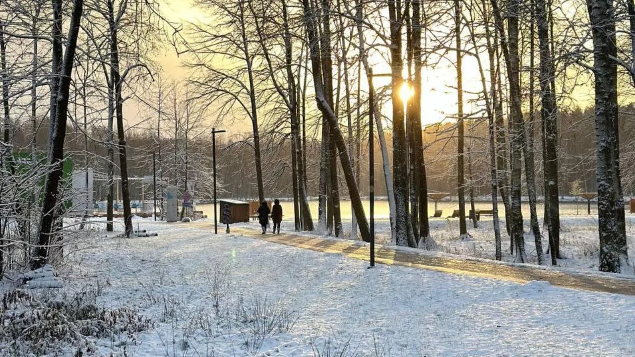 Министерство благоустройства Московской области