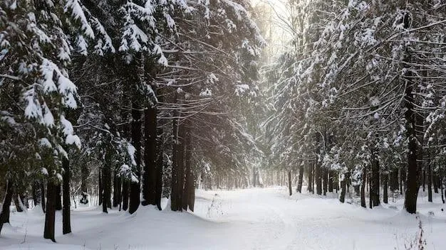 Фото: Ульянов А.И.