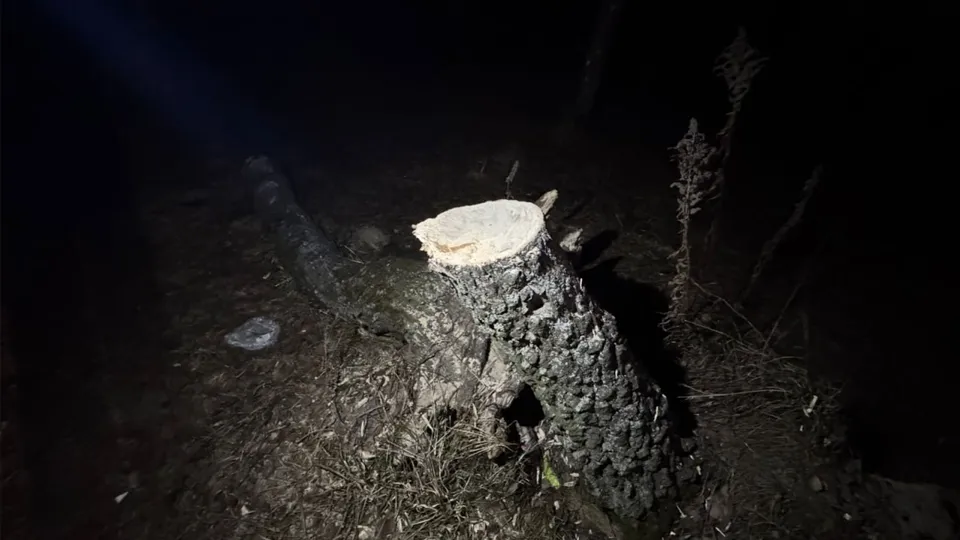 Фото: ГСУ СК России по Московской области