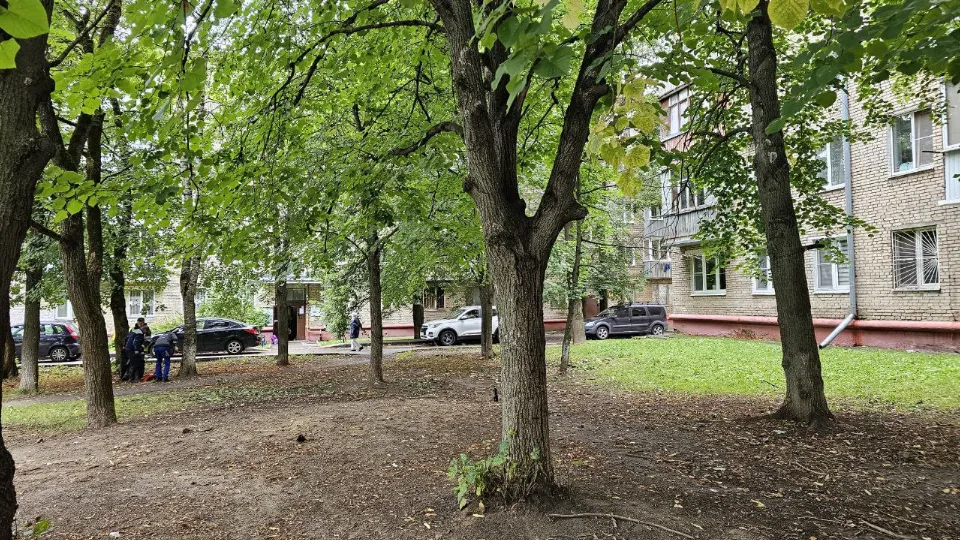 Двор на улице Нахимова, где раньше был проблемный шалаш. Фото: пресс-служба администрации г. о. Фрязино