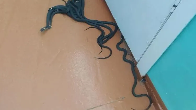 ОГБУ «Пожарно-спасательная служба Костромской области»