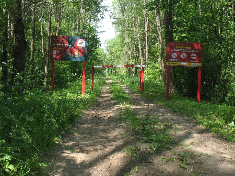 Фото: филиал «Русский лес «ГКУ МО Мособллес»