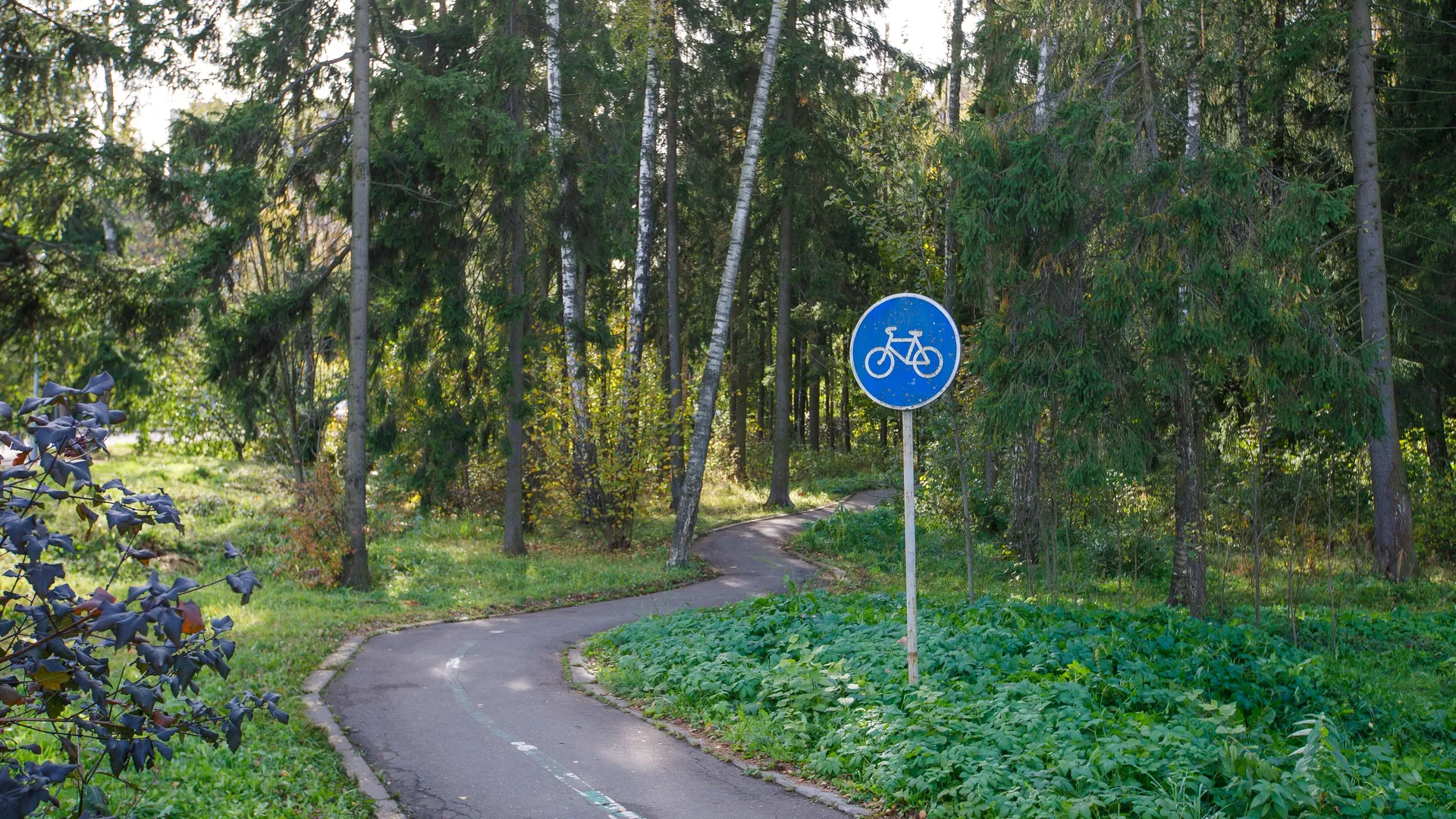 Фото: Медиаархив Подмосковья