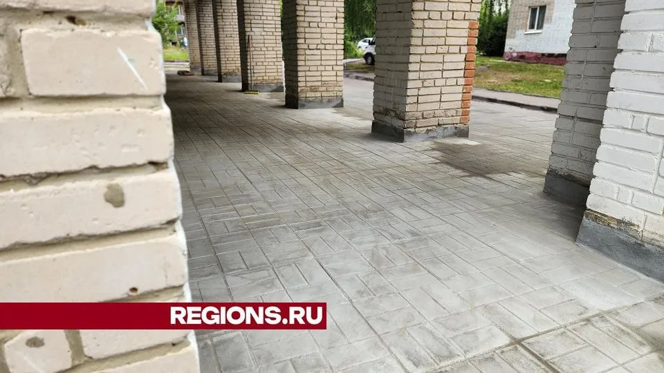 Фото: Светлана Плотникова