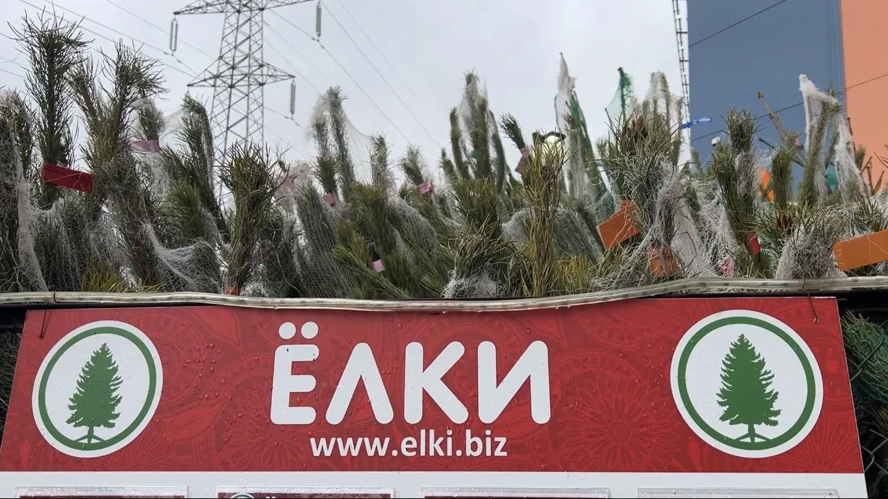 Ерофеева Валерия