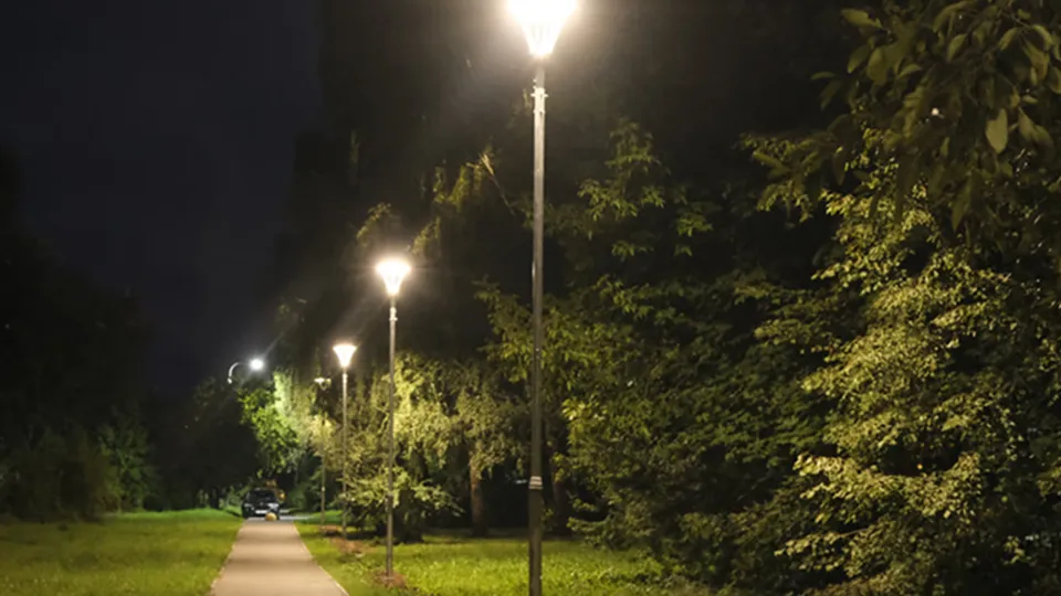 Фото: МедиаБанк Подмосковья/Мария Панина