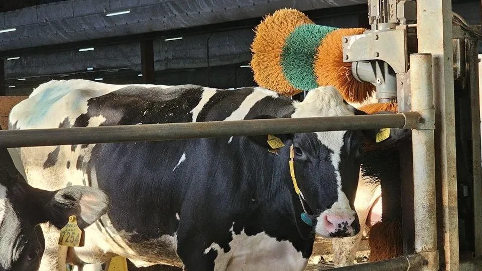 Фото: агрохолдинг «ОСП агро»