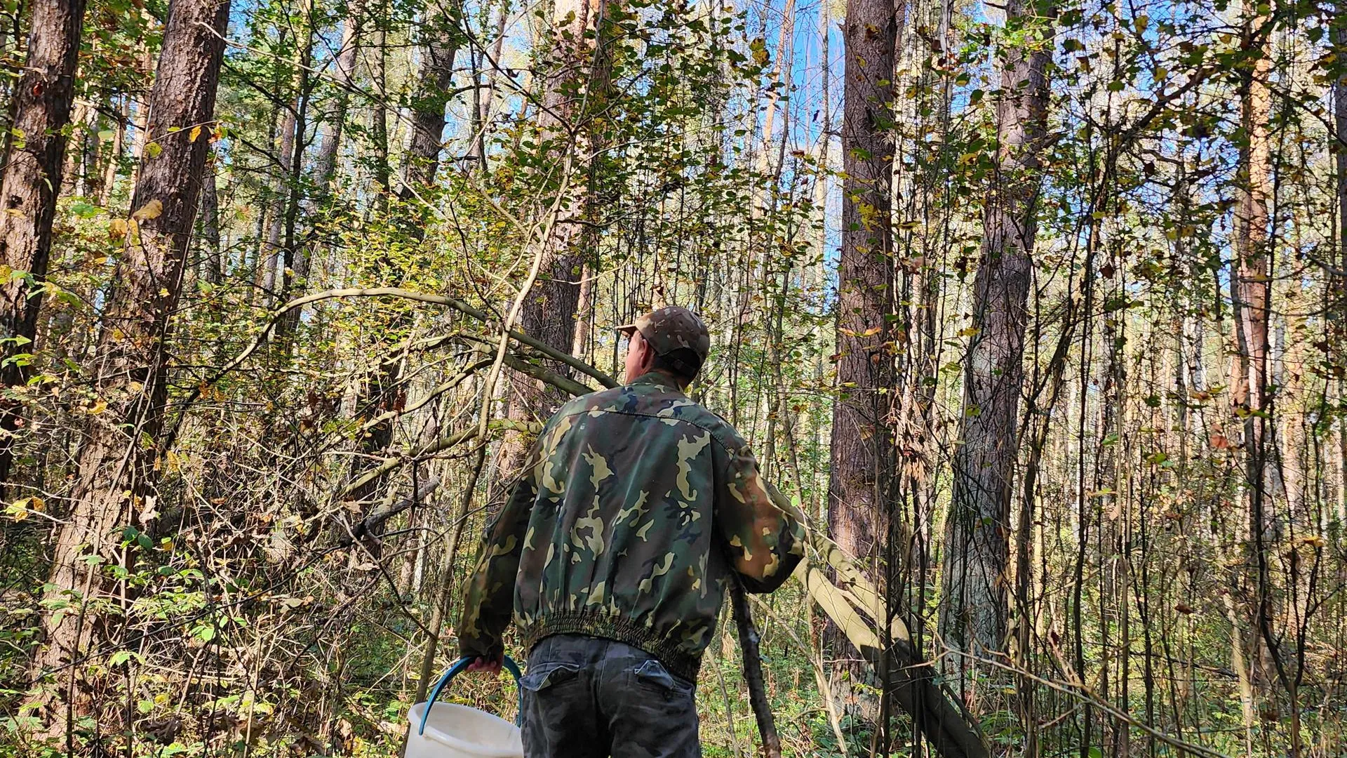 Александр Стёпушкин