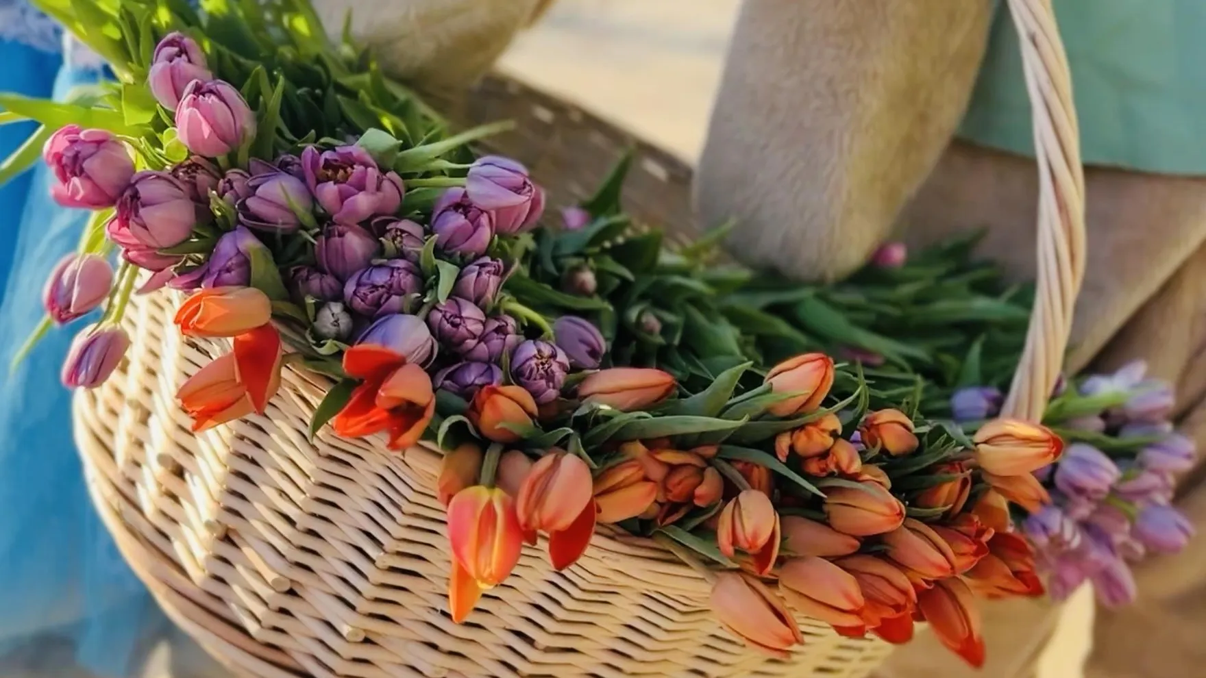 МедиаБанк Подмосковья/Ольга Стаферова