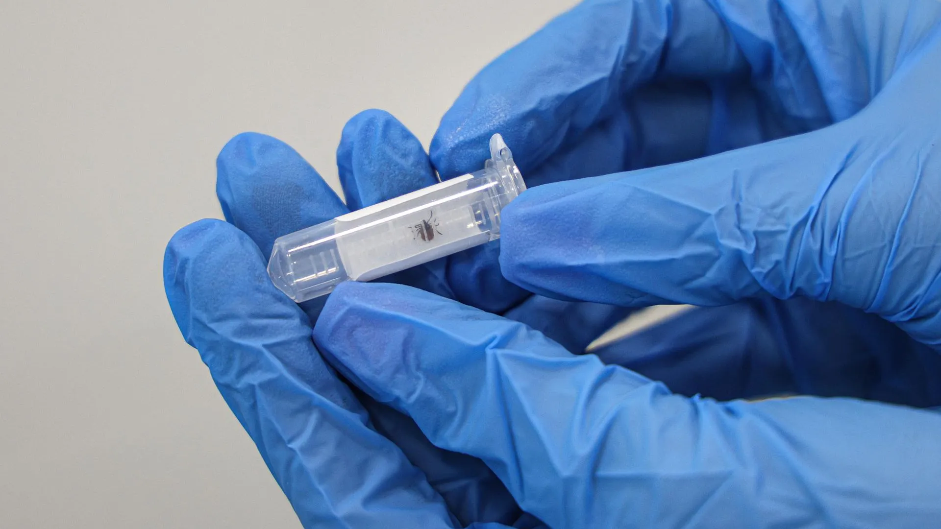 Andrey Titov/Business Online