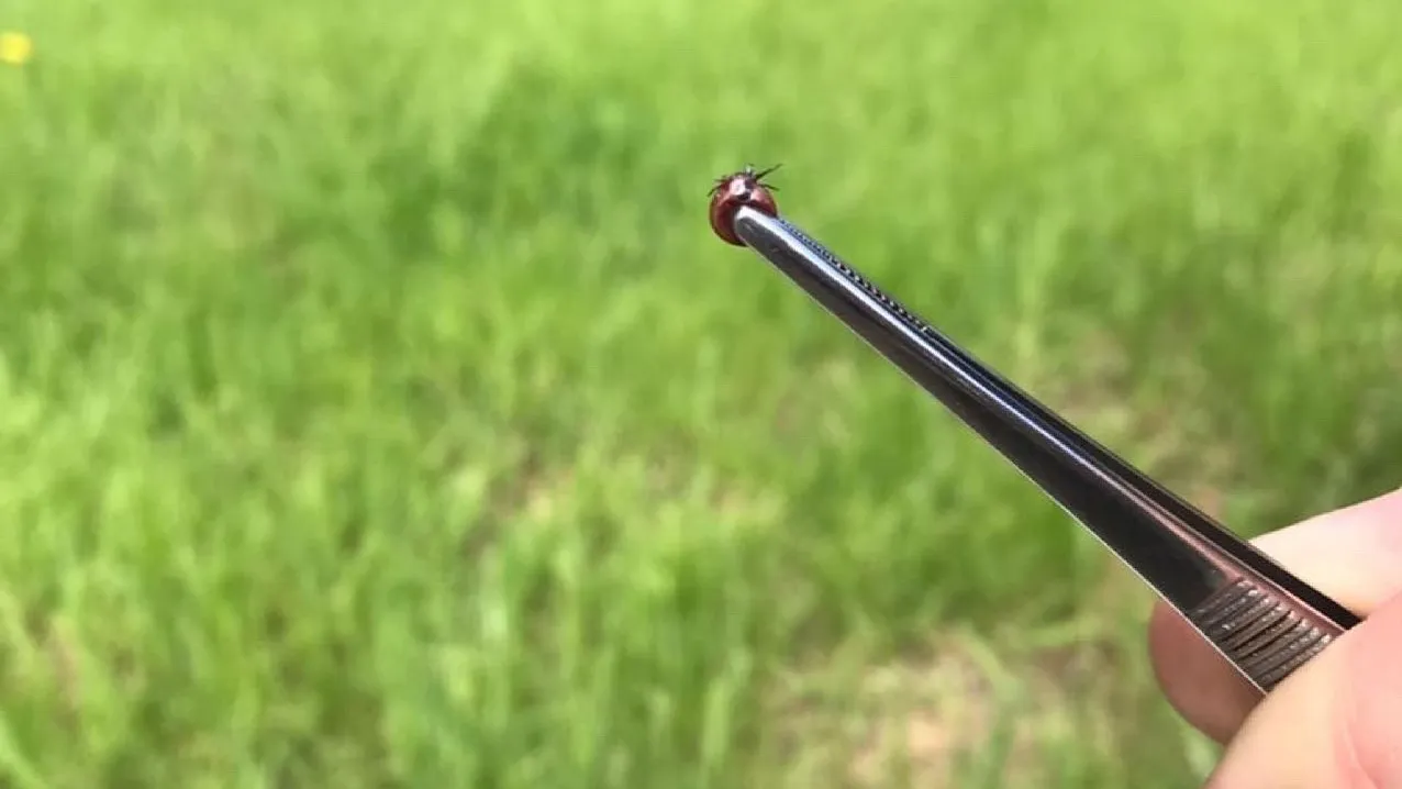 Фото: пресс-служба министерства сельского хозяйства и продовольствия Московской области