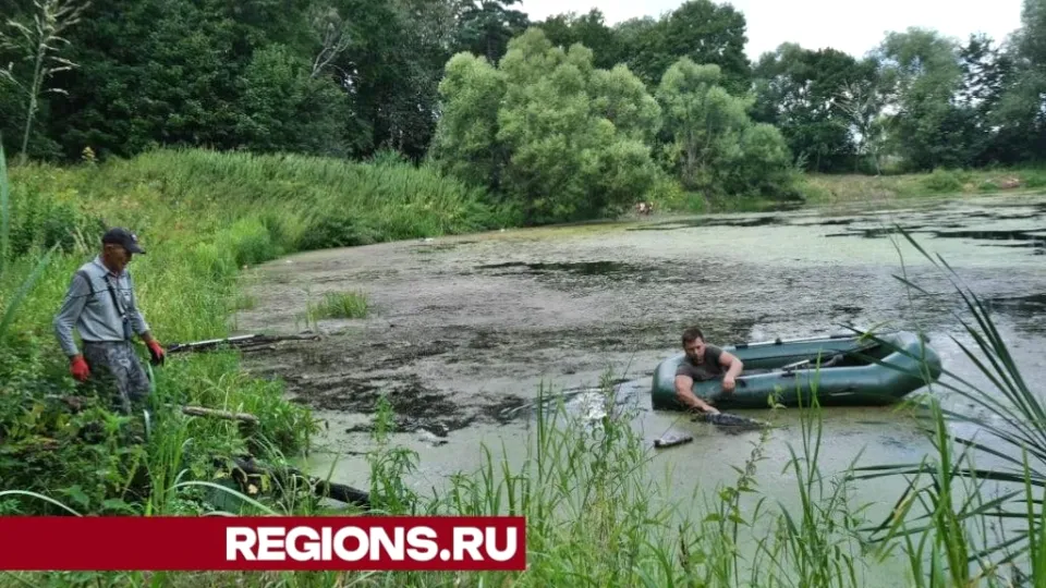 Фото: Мария Панина