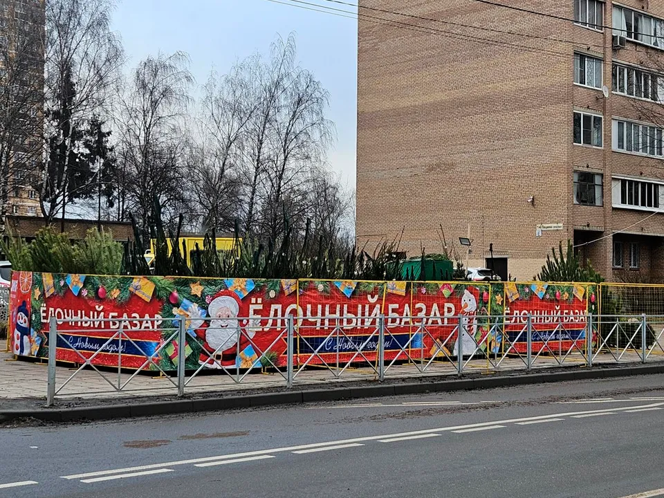 Фото: МедиаБанк Подмосковья/Вероника Горбачева