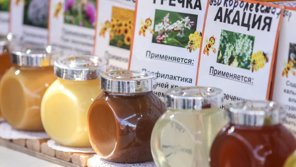 Фото: ТАСС/Артем Геодакян