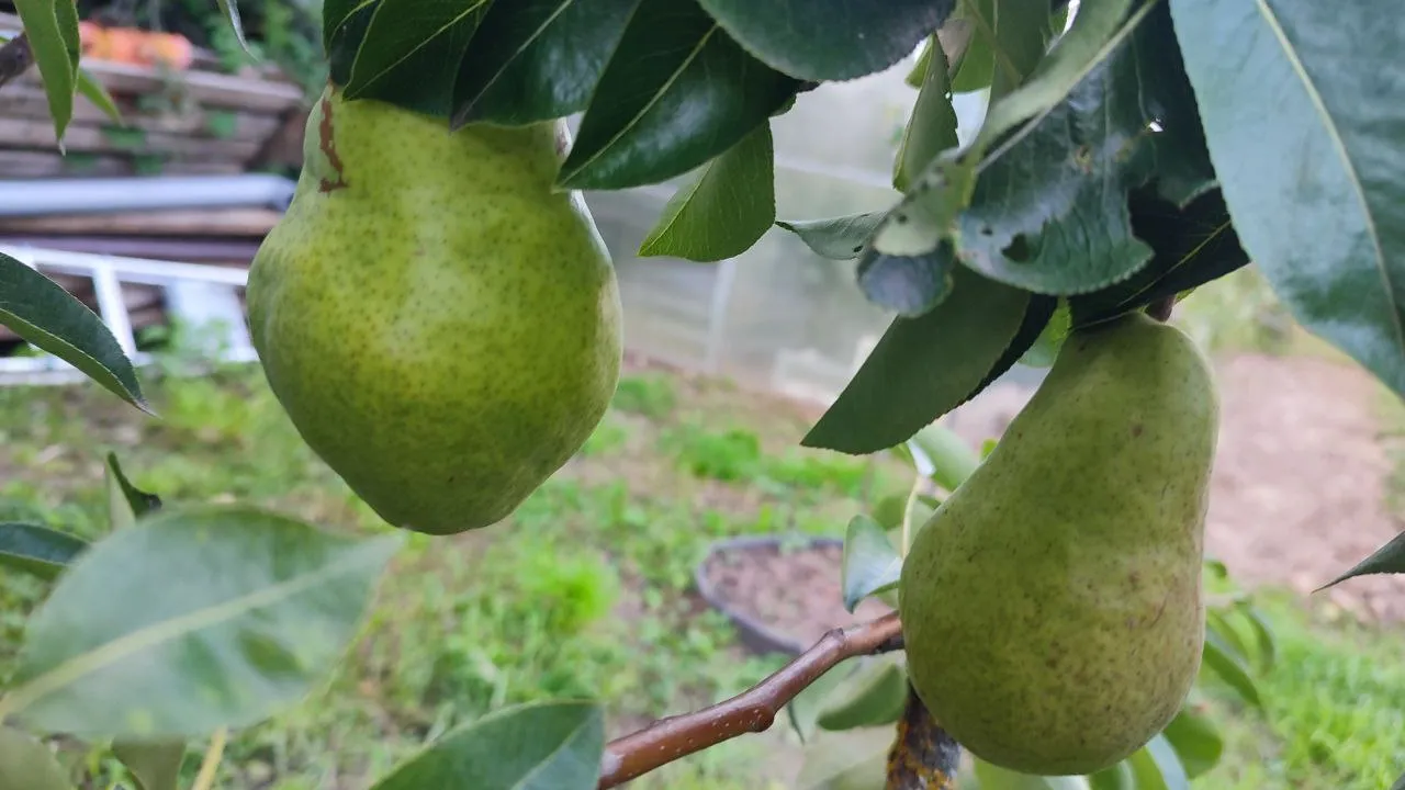 Фото: Елена Забелина