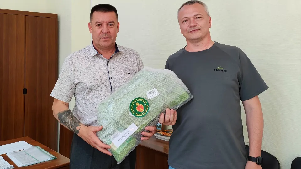 Фото: ГАУ МО «Мособллес»