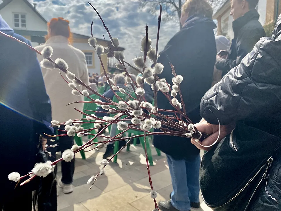 Фото: МедиаБанк Подмосковья/Данила Кирьянов