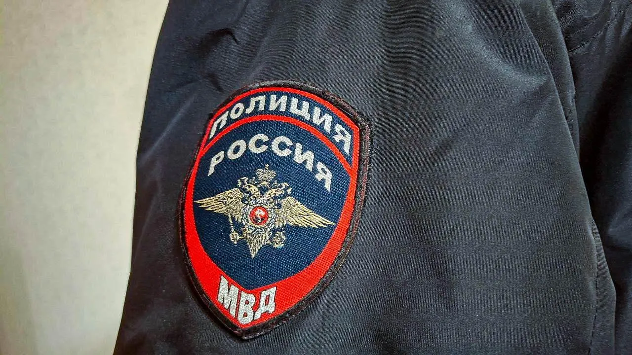 Картинка