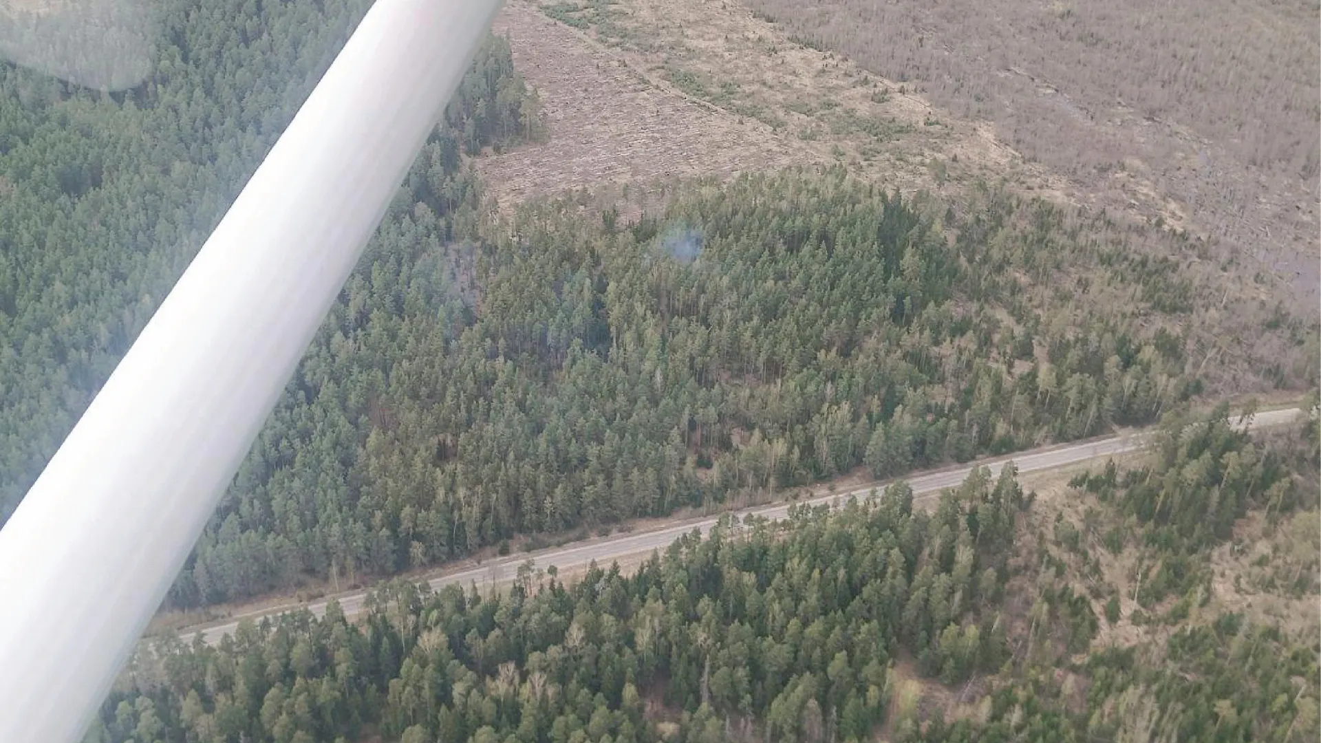 Фото: Комлесхоз МО