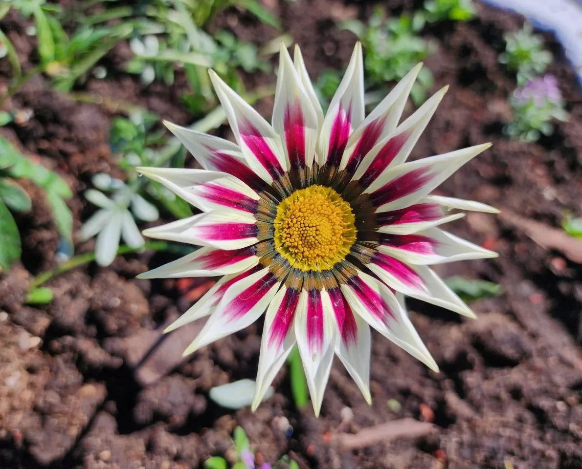 Фото: Яна Шаливская