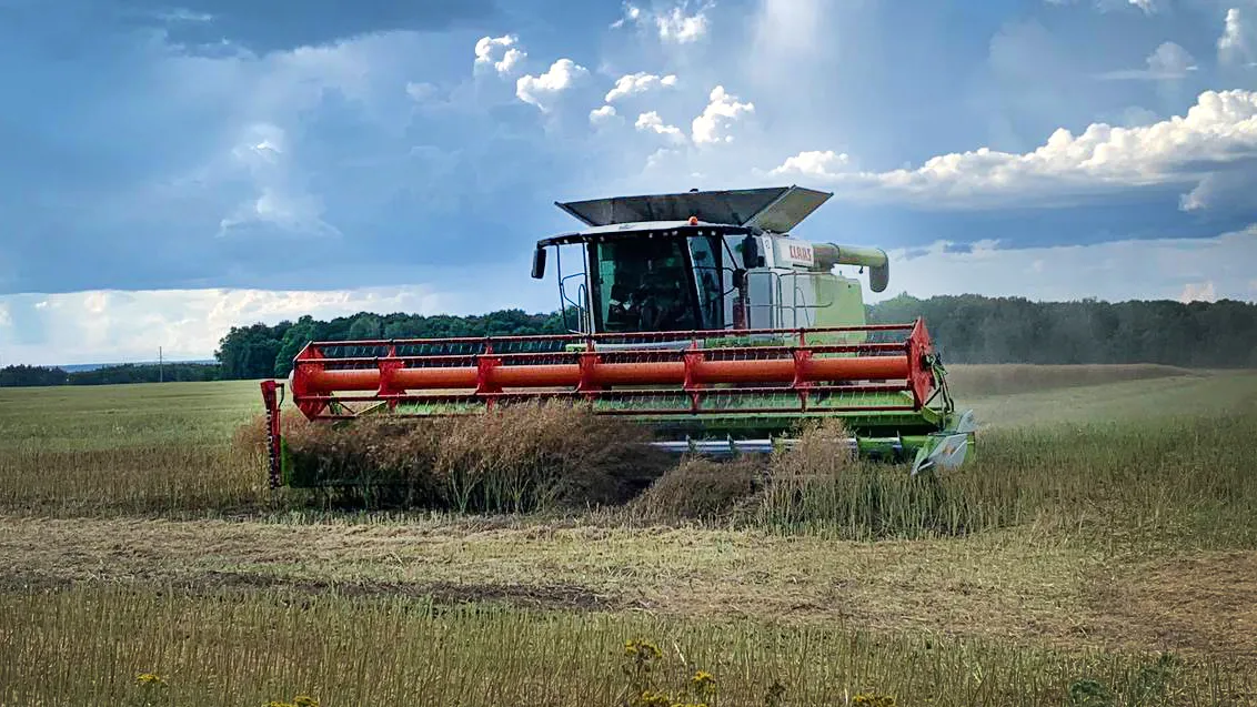 Фото: Екатерина Елисеева