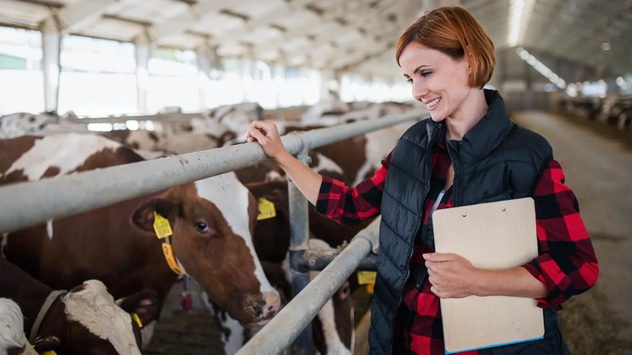 istockphoto.com/Halfpoint