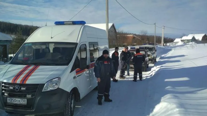 Пятнадцать заблудившихся вывели из лесов Подмосковья с начала года