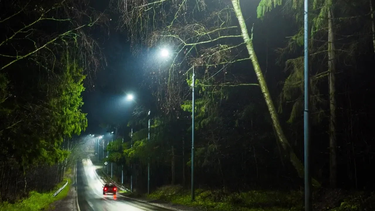 Фото: Министерство благоустройства Московской области