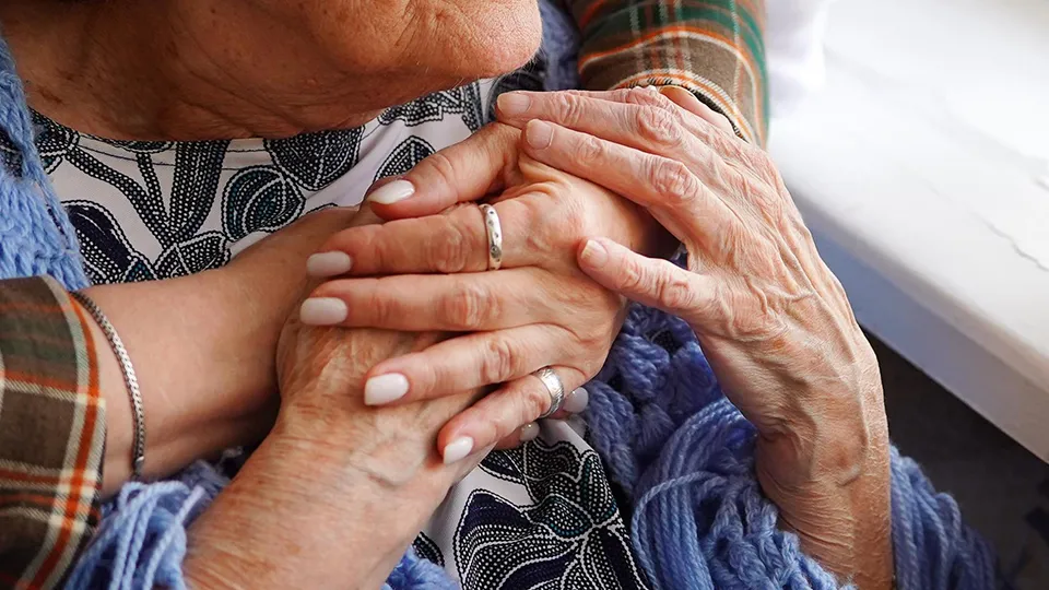 Фото: пресс-служба Министерства социального развития Подмосковья