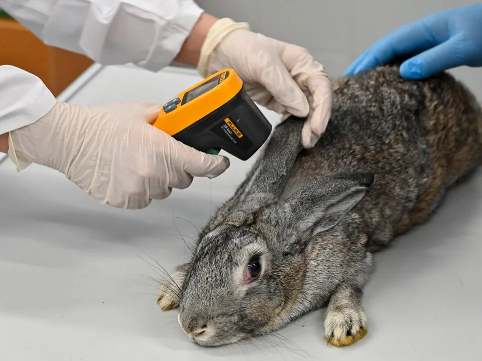 Фото: Министерство сельского хозяйства и продовольствия МО