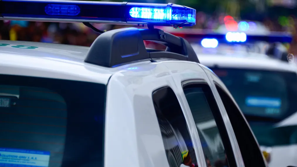 Фото: pxhere.com