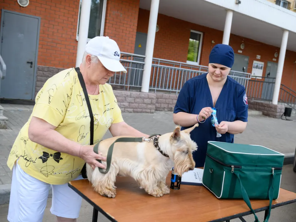 Фото: Дарья Попова