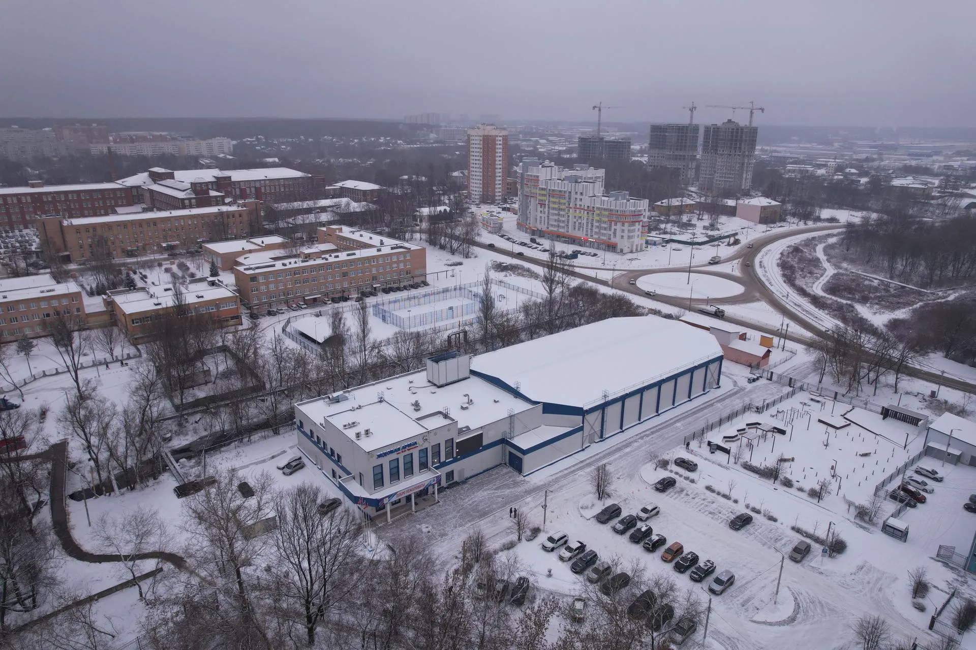 Дарья Московцева