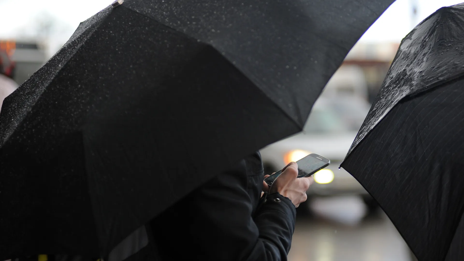 Фото: медиасток.рф