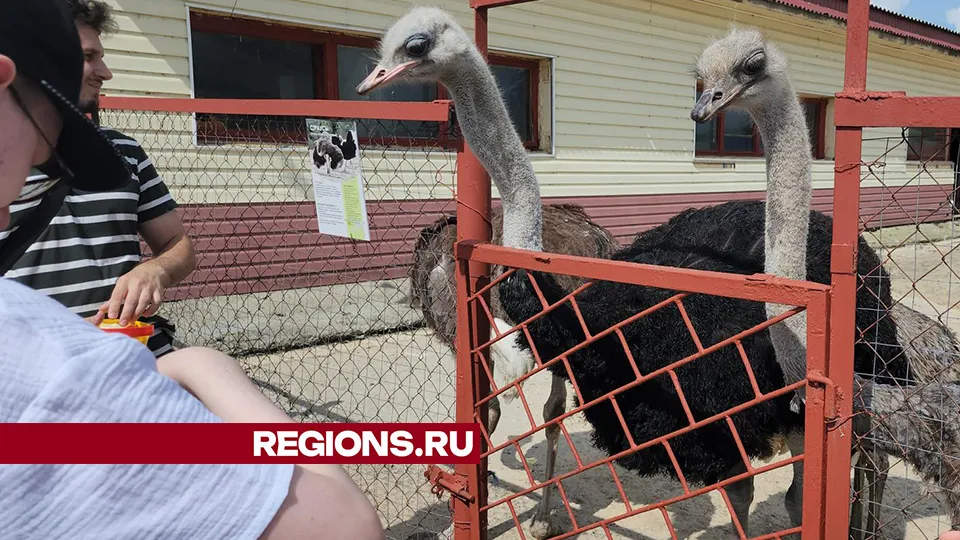 Фото: Александр Степушкин