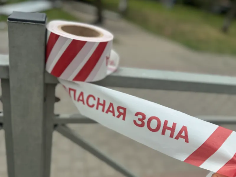 Фото: МедиаБанк Подмосковья/Полина Абраменко