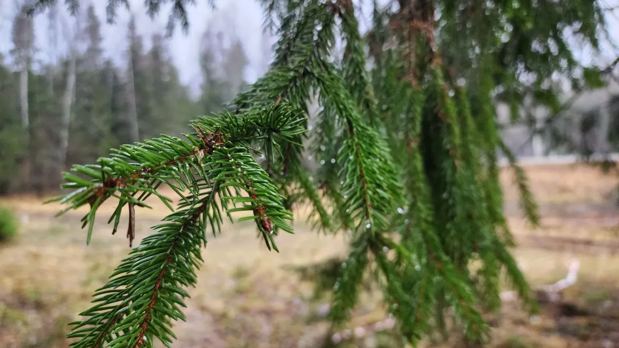 Фото: REGIONS/Яна Шаливская