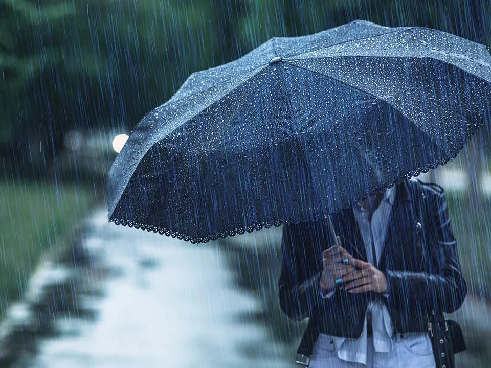 Фото: istockphoto.com