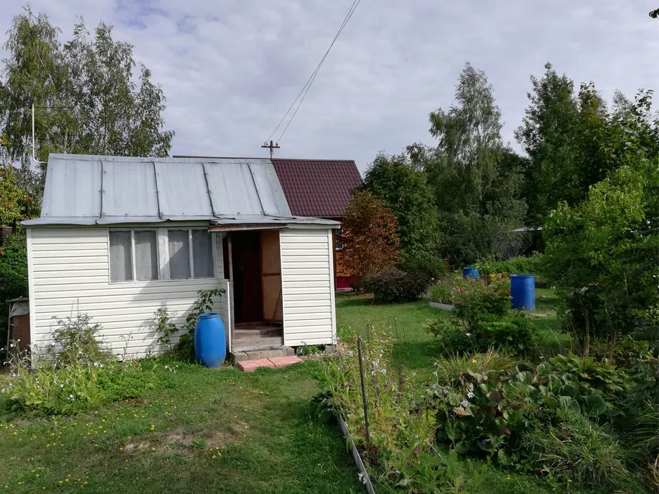 Фото: Дмитрий Кравцов