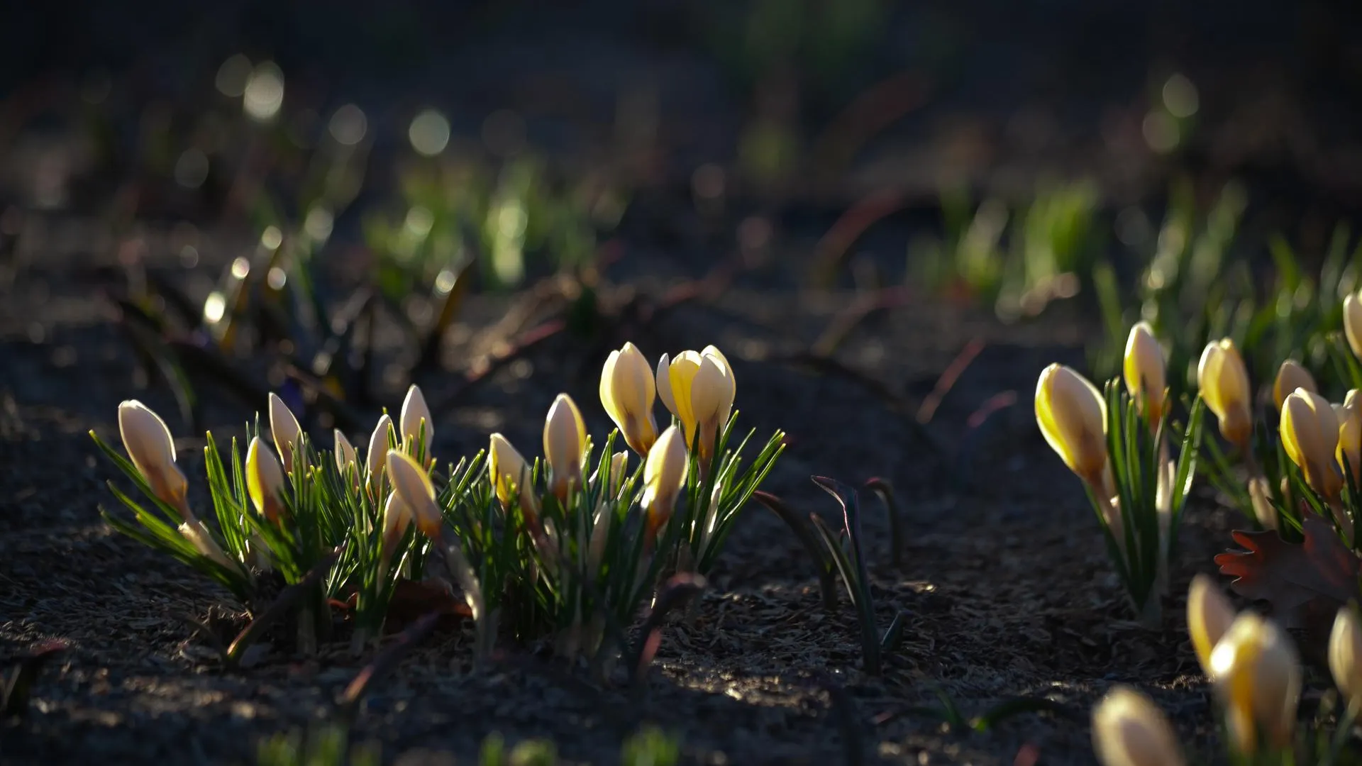 медиасток.рф